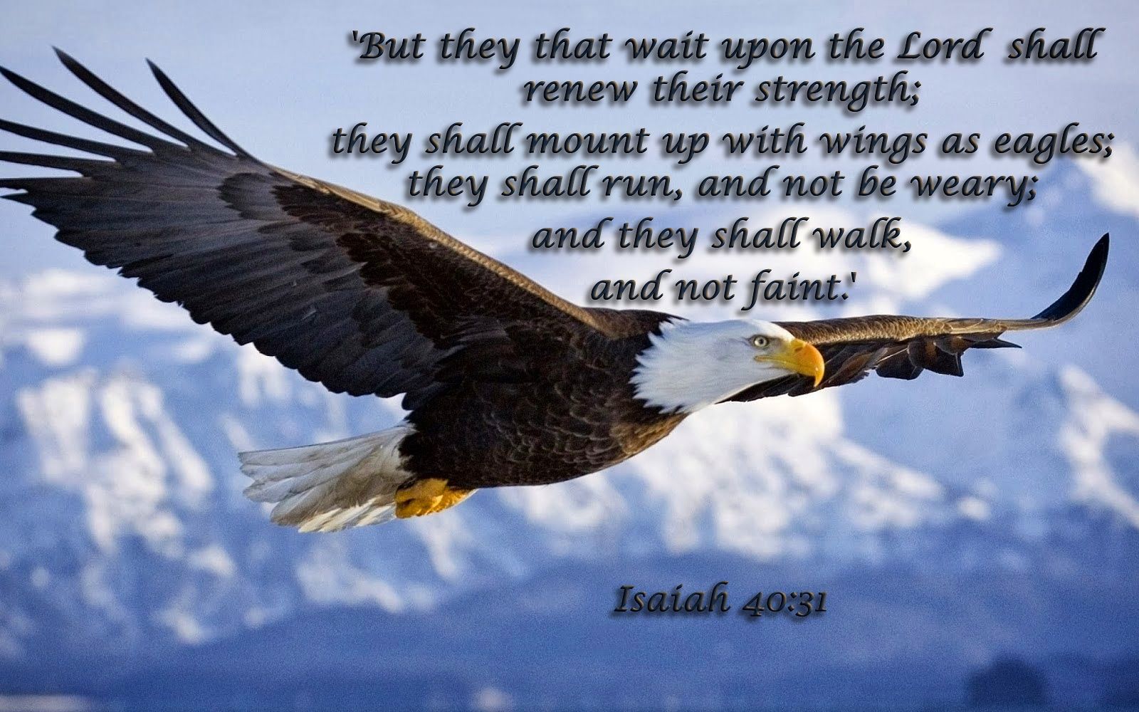 ISAIAH KJV WINGS AS EAGELS!!