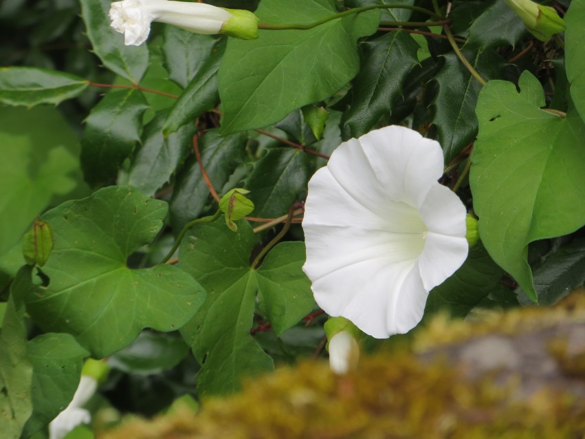 Please Click on image for full size!! Image