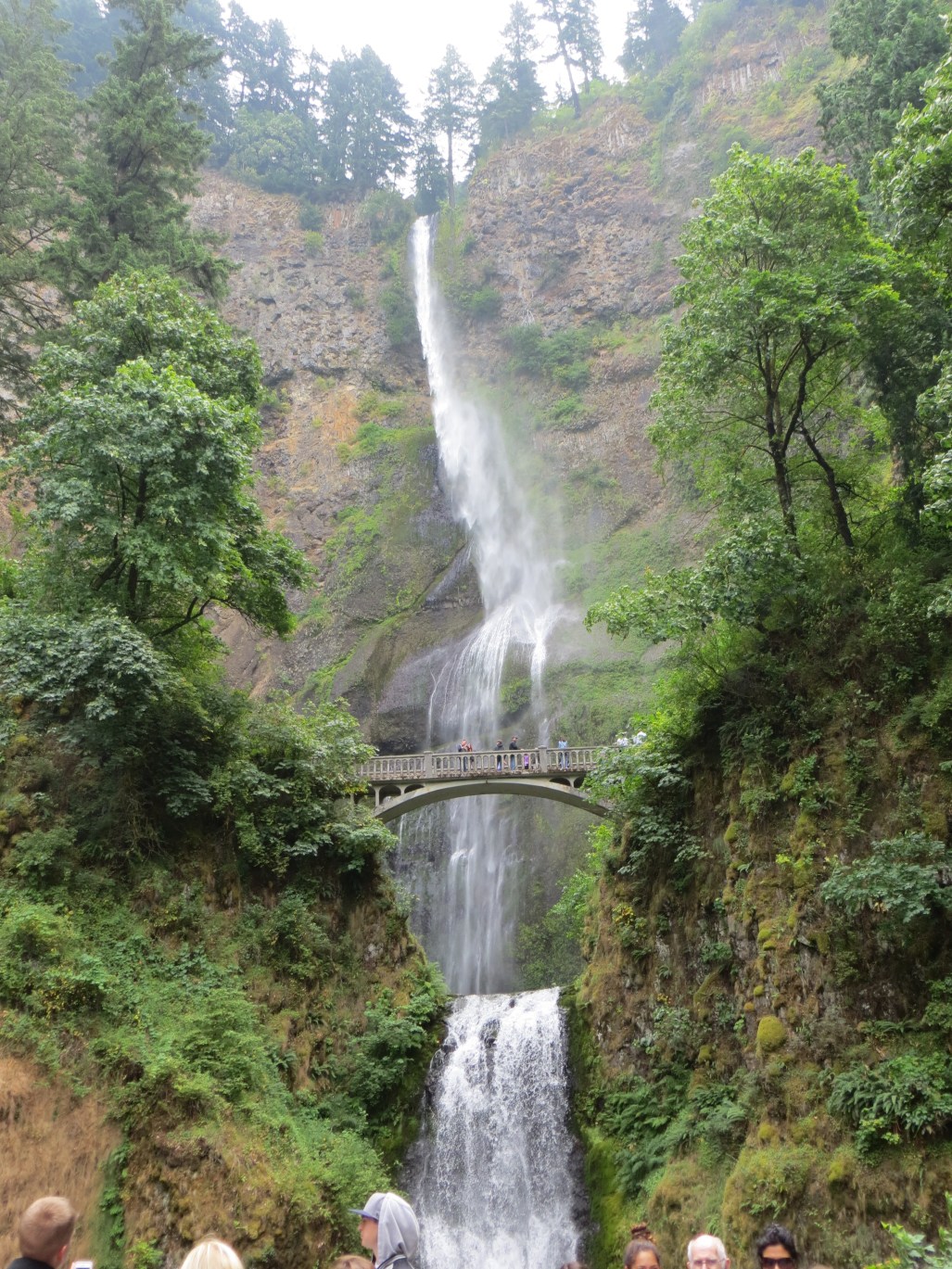 Please Click on image for full size!! Image