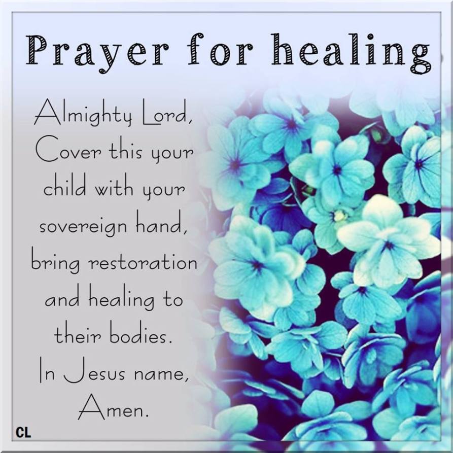 19420377_10207607298335224_3612272085087085821_n