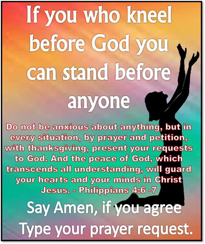 1374238_538152376274952_1157404270_n