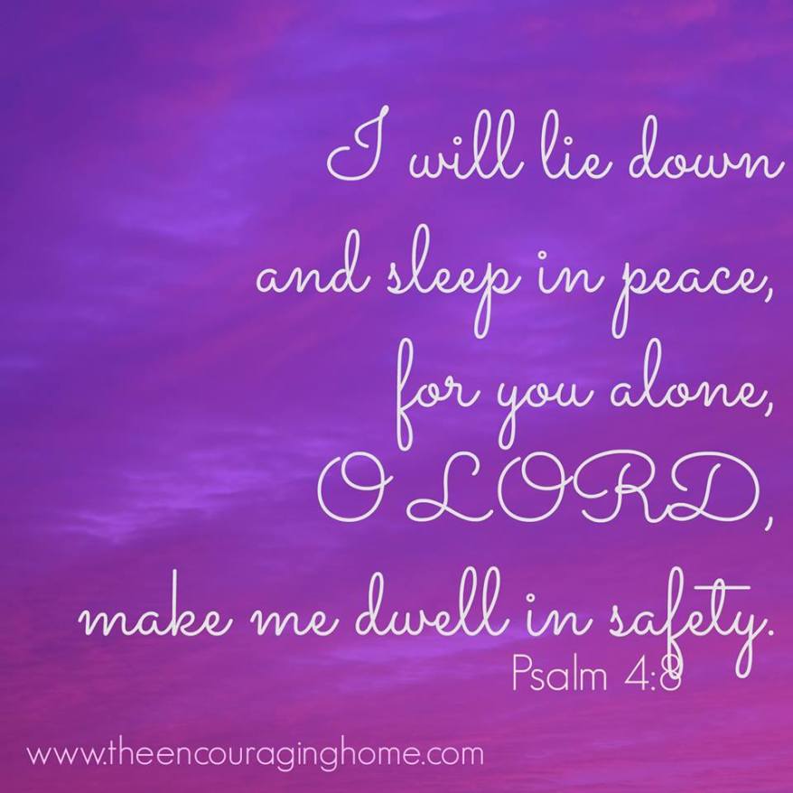 1380206_541989619213624_1121127349_n