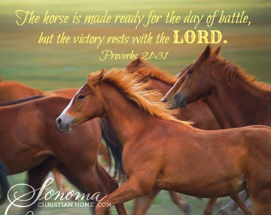 1380263_621691001206794_84250405_n