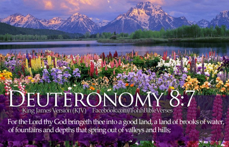 Bible-Verses-Deuteronomy-8-7-Beautiful-Flowers-River-Mountains-HD-Wallpaper-1024x658