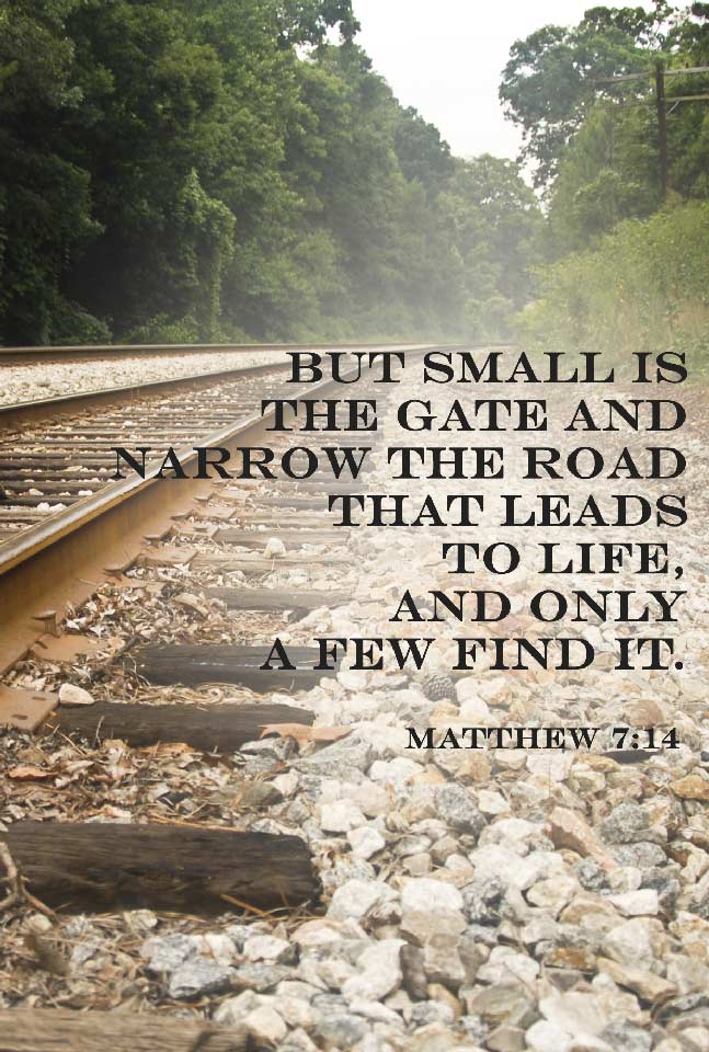 fae7e4e6f9553b78c5b61bc8f4267a75