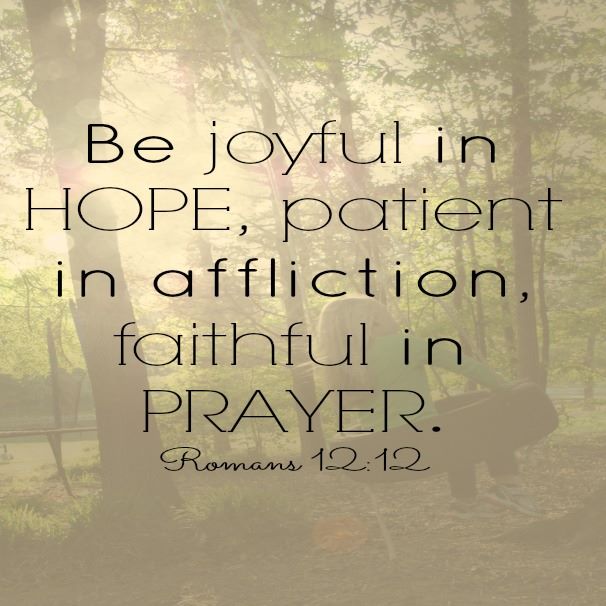 996648_215631348609797_757815917_n