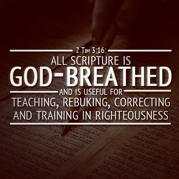 737a28713c4b9b06a8e5b7d33354381e