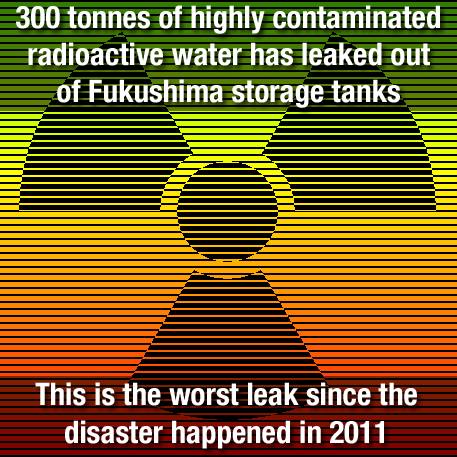 7849_10151810634004684_63613408_n