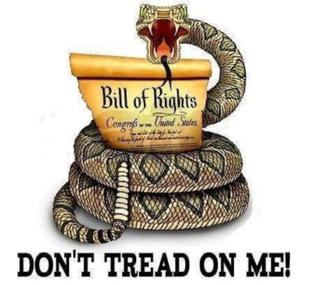 Bill of Rights