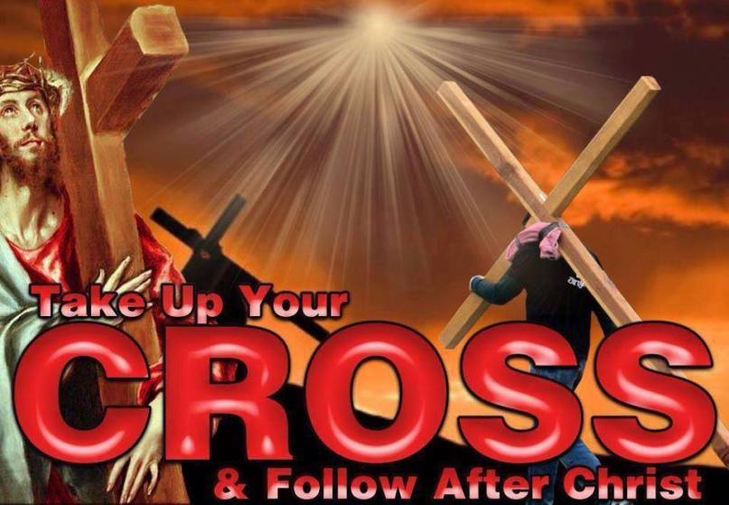 1493279_10151977968268842_743040175_n