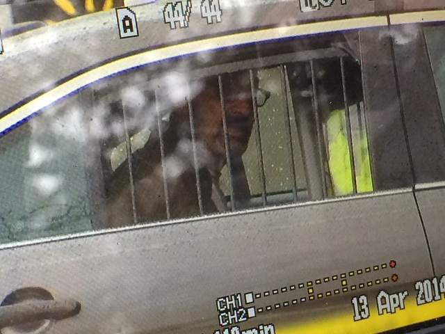 one in custody man_1397418303206_4064090_ver1.0_640_480