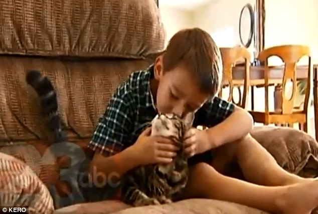 HERO KITTY CAT SAVES YOUNG BOY!!
