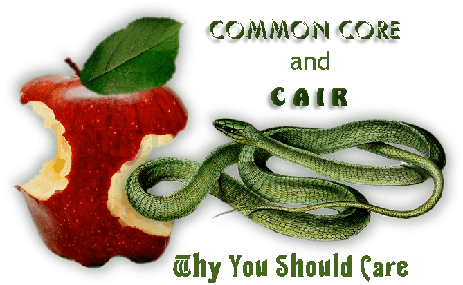 NO COMMON CORE-HOME SCHOLL NOW!!