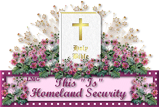 HomelandSecurity-LMG3