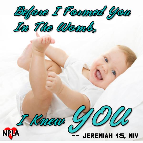 988805_666973550015942_32731810_n