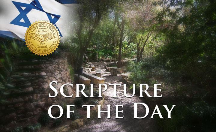 998981_10152009164044814_758283888_n