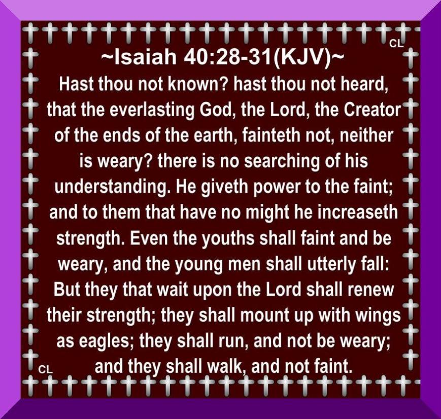 10418305_10201640780936018_6937334855652828496_n