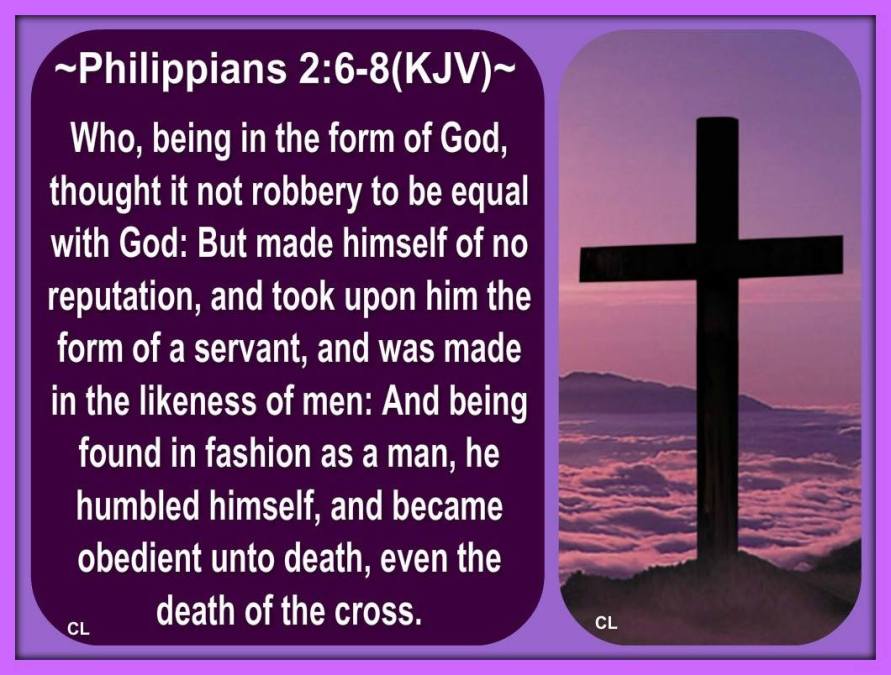 10499602_10201736518369394_3907812938787500032_o