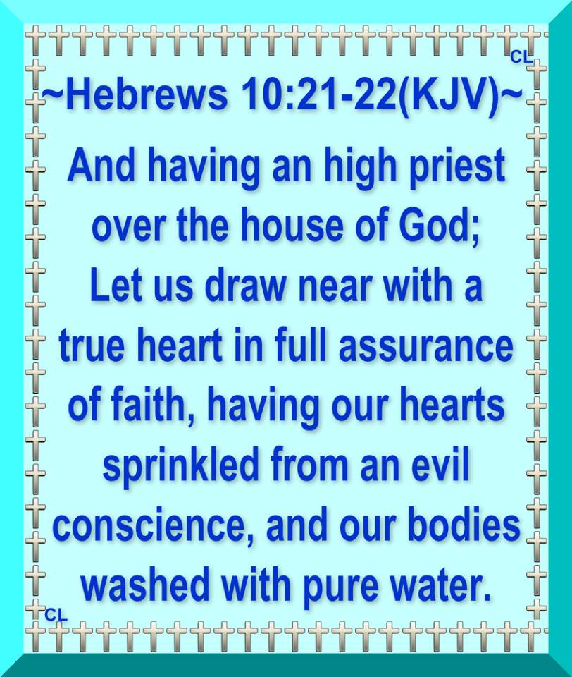 10593104_10201709956985376_4590120461973656737_n