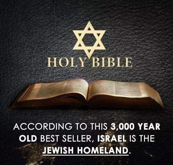 10600551_1459007177703590_1999834576910788259_n