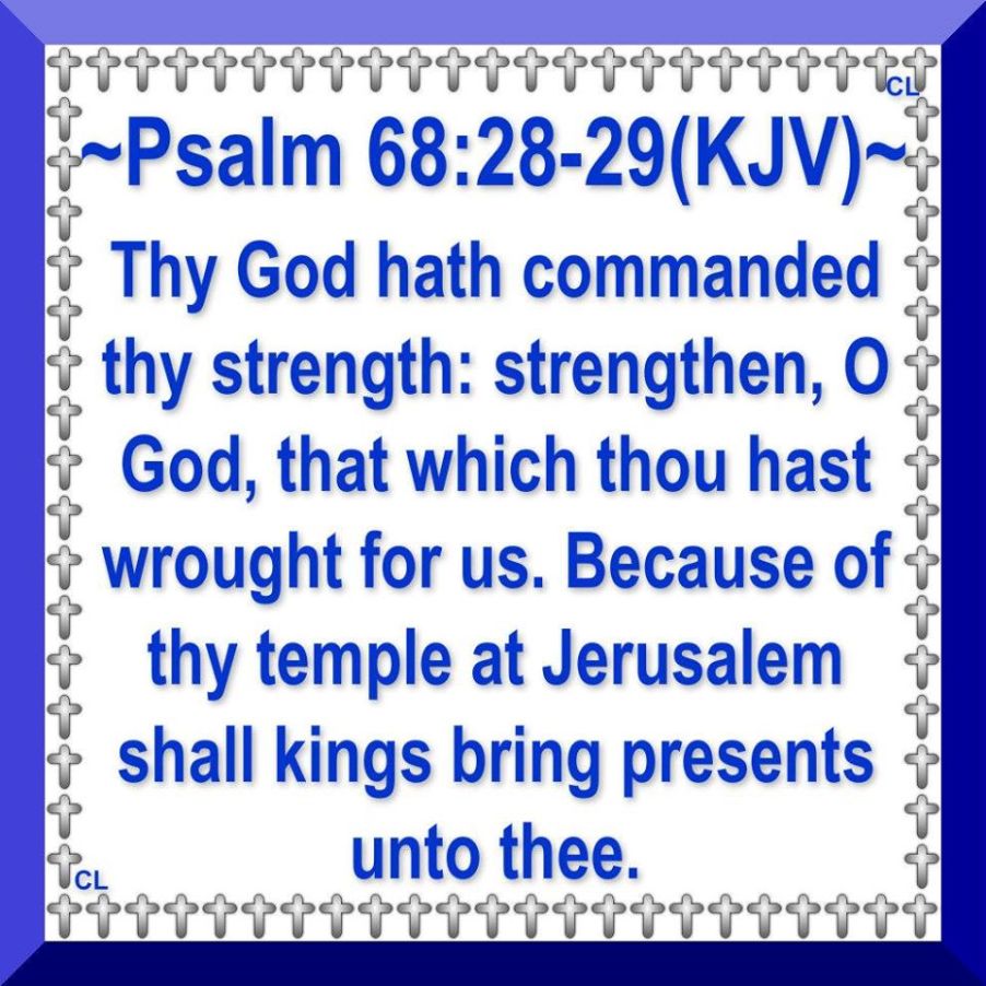 10623395_10201745631237210_9204388398707018390_o