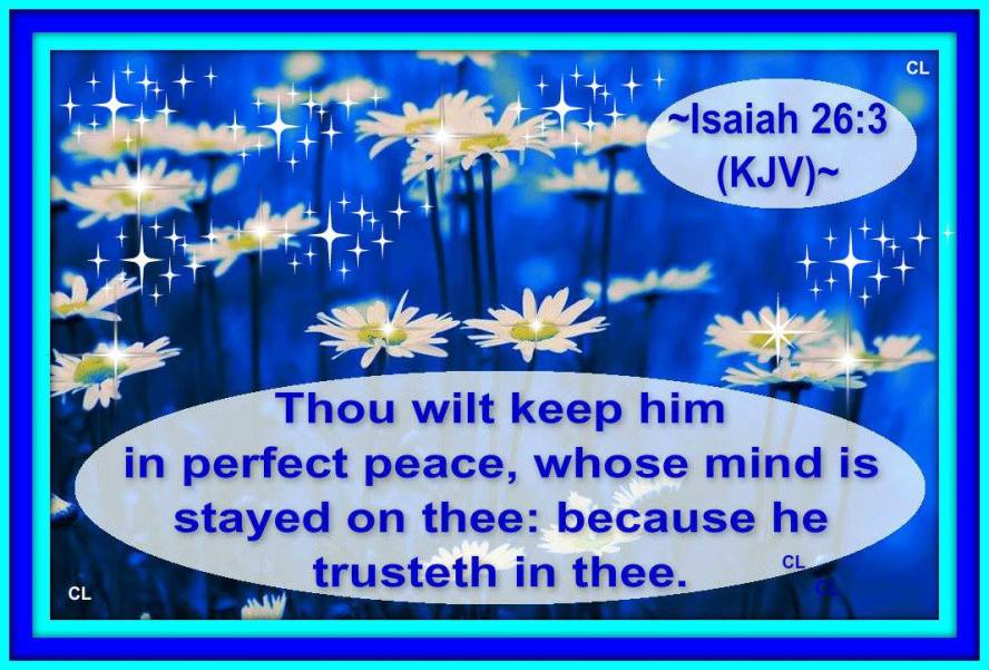 10648203_10201741691178711_1616409417260546271_o