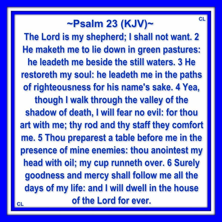 10655216_10201745827842125_6791258410470460935_o