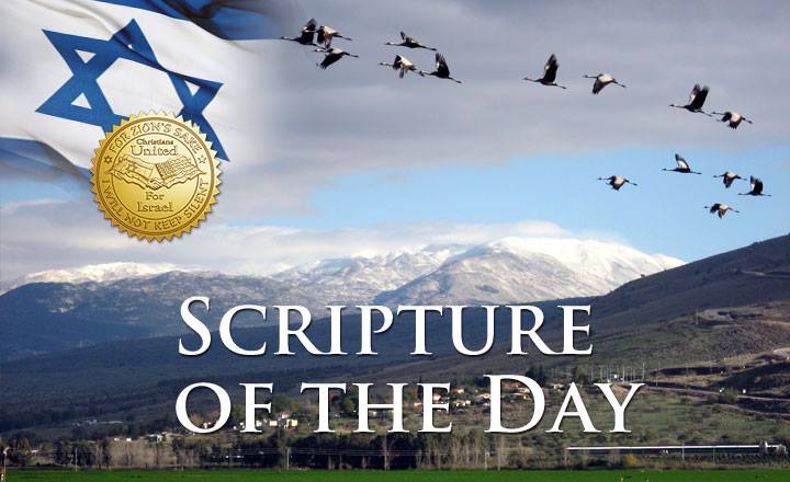 1907406_10152589736344814_8127643871551450299_n