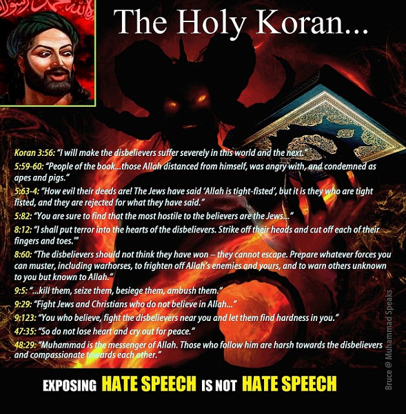 7418287814_e802e446d5_zvi-vi