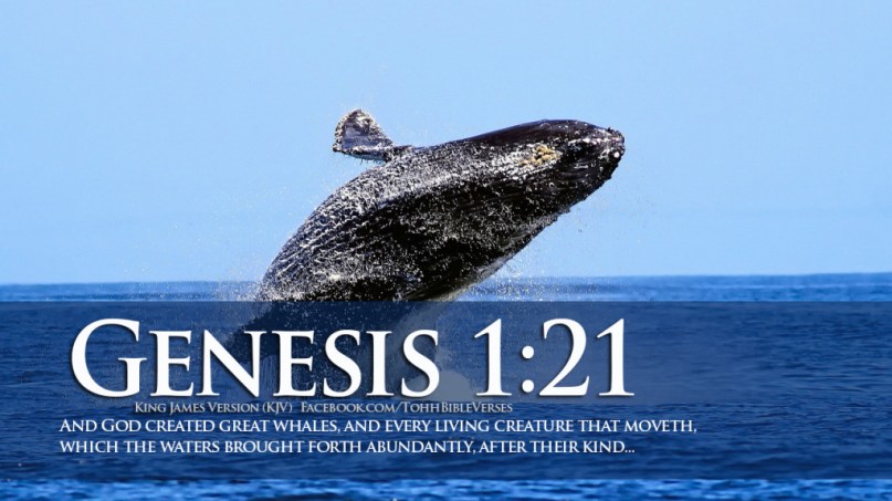 Bible-Verses-On-Creation-Genesis-1-21-Jumping-Whale-HD-Wallpaper-1024x576