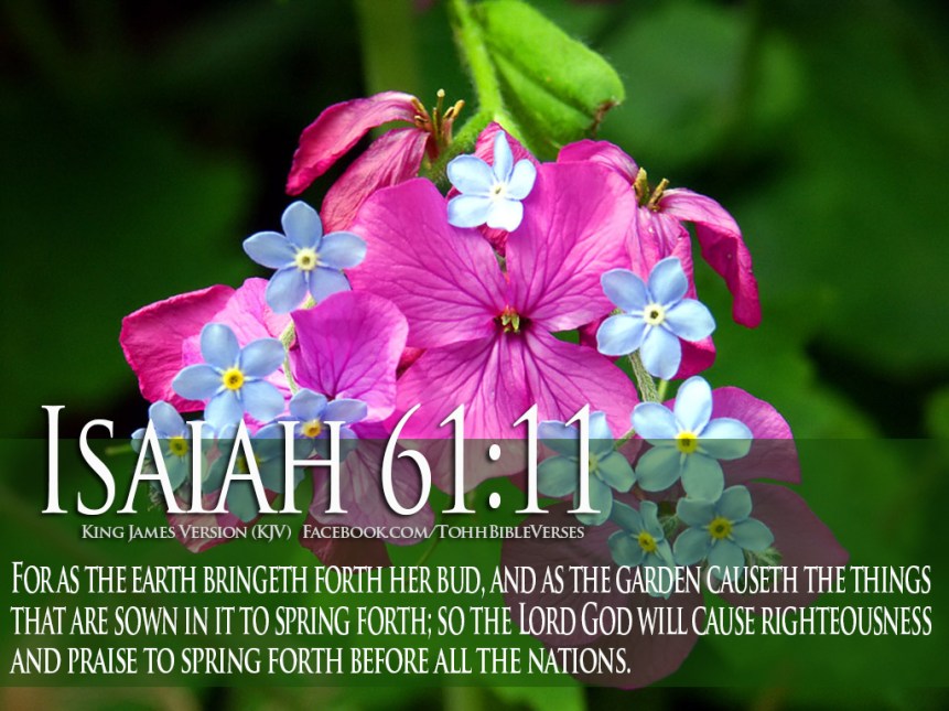 Bible-Verses-On-GODs-Love-Isaiah-61-11-Flower-HD-Wallpaper