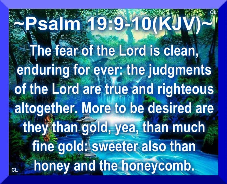 10537211_10201772561390447_7183636476914894764_o