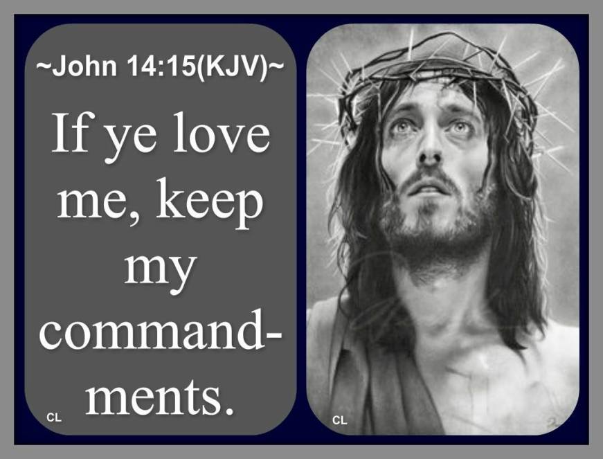 10682197_10201787262797973_3208422326266888684_o