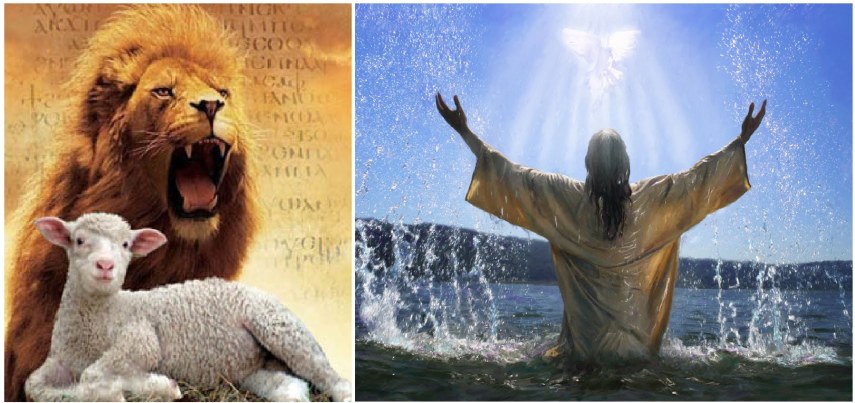 The LION of Judah and the LAMB of GOD Yeshua-Jesus Christ!!