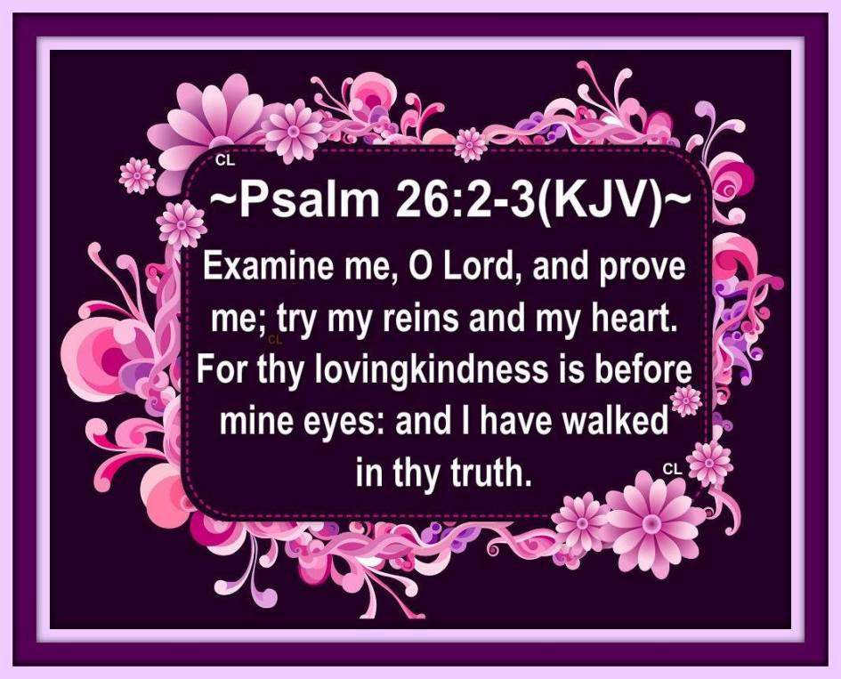 10623505_10201974976330694_7807331350361107608_o