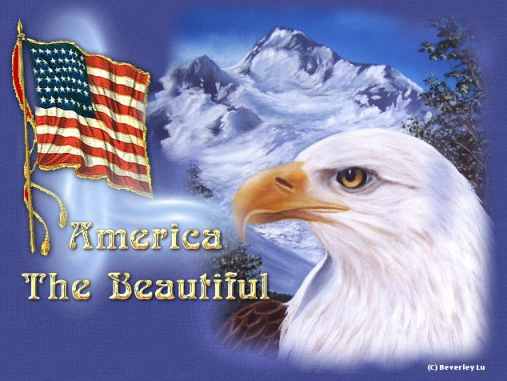 AMERICA USA THE BEAUTIFUL AMEN!!