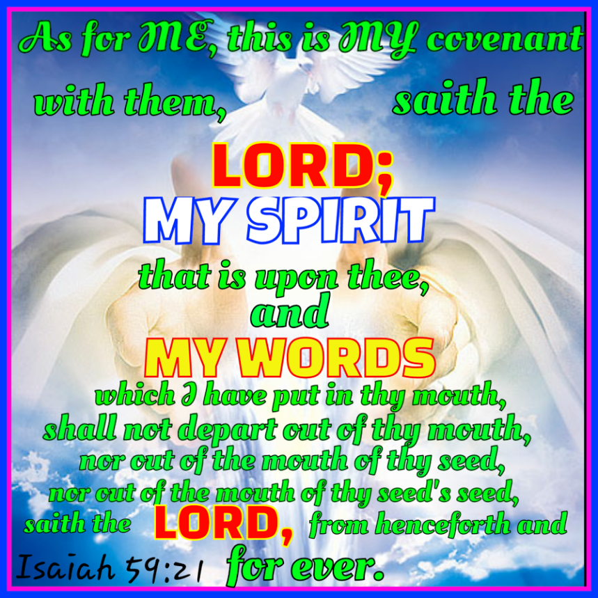 Photo Collage Maker_VkxyWv