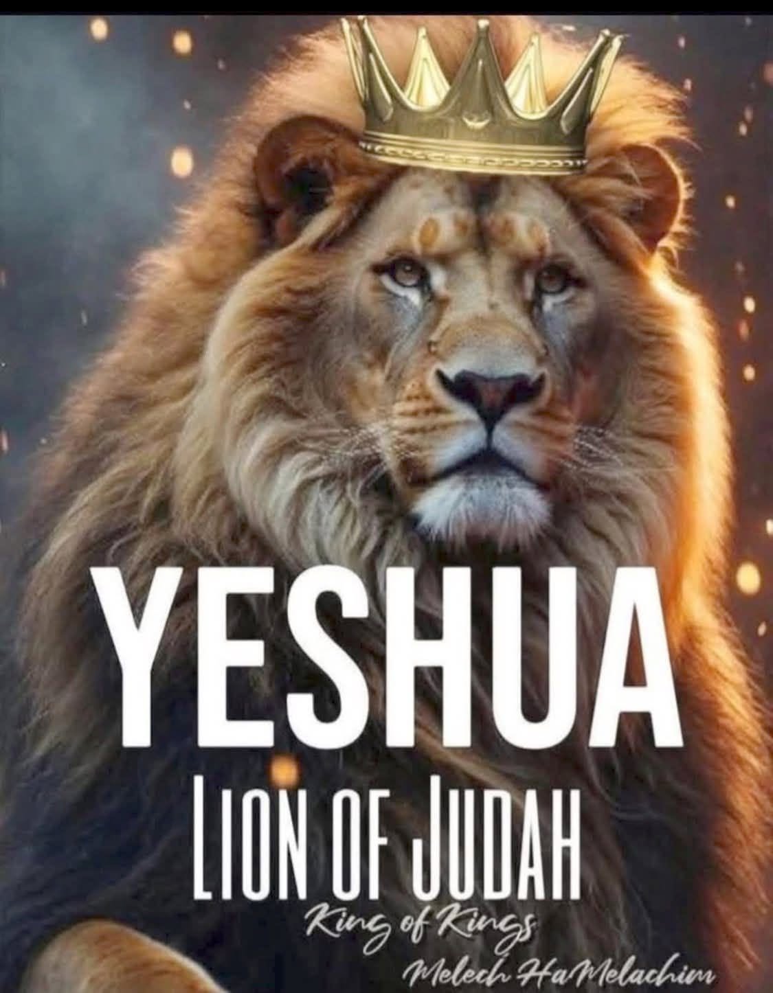 THE LION AND LAMB OF YESHUA-JESUS AMEN-AMEIN!!