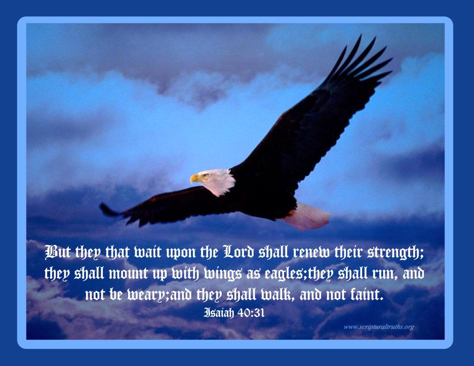Isaiah 40.31 - May 2014