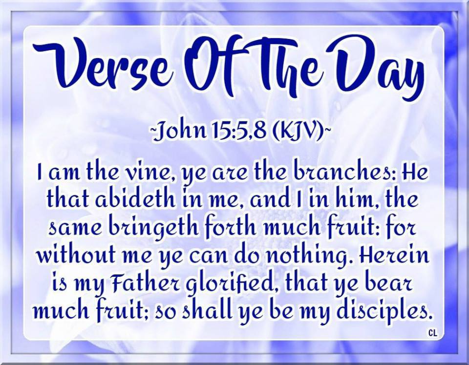 JESUS-YESHUA SAITH I AM the VINE AMEN!!