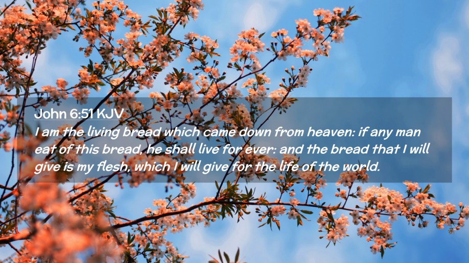 JOHN KJV JESUS-YESHUA SAITH I AM the LIVING BREAD HALLELUJAH and AMEN!!