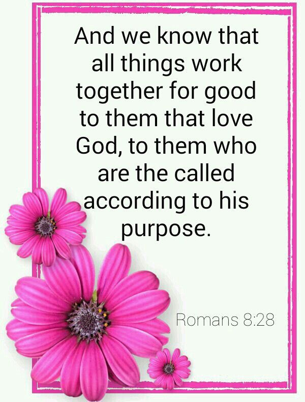 ROMANS 8:28 KJV LOVE!!