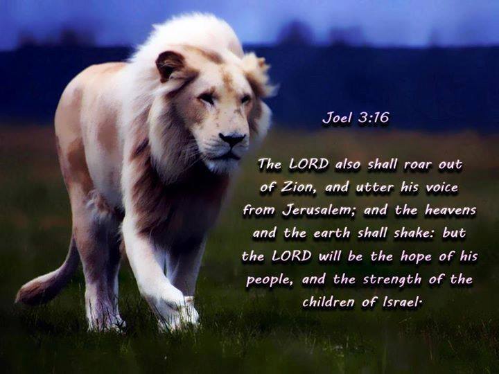 THE LION of JUDAH will ROAR our of ZION!!