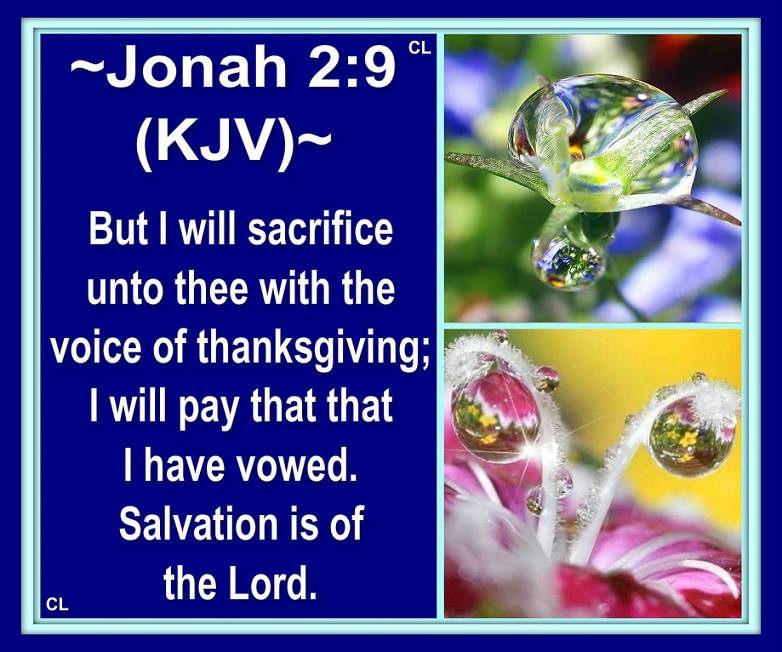 Jonah 2:9 KJV j29