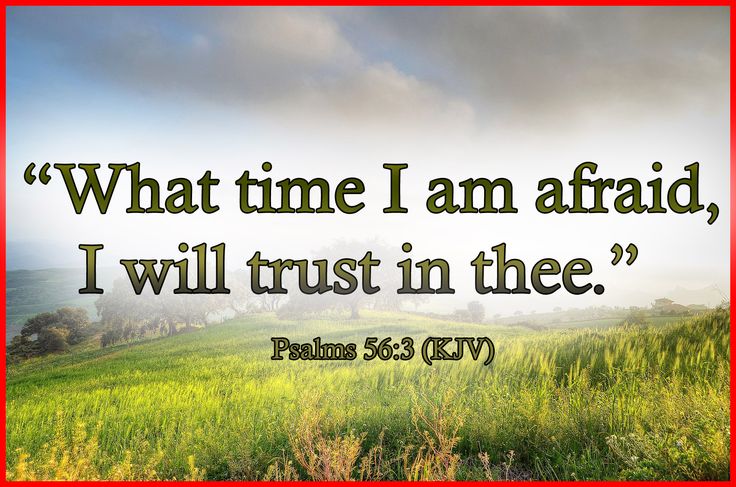 PSALMS 56:3 KJV TRUST!!