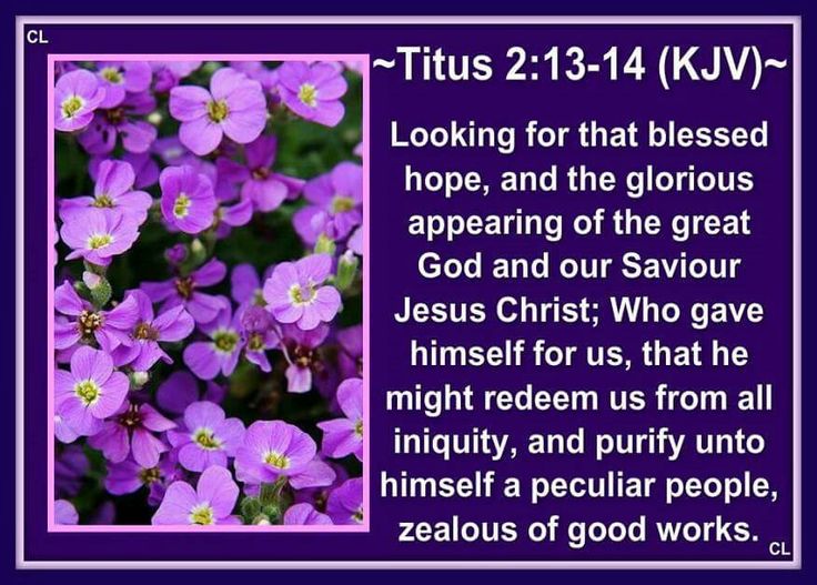 TITUS 2:13-14 KJV AMEN-AMEIN!!