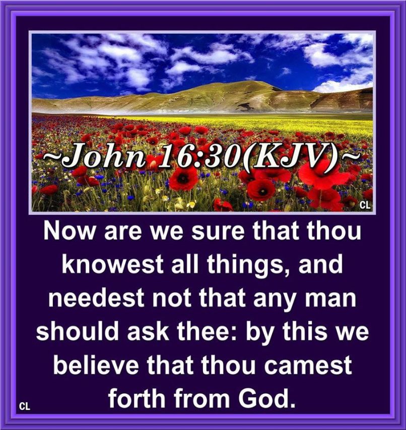 John 16:30-31 KJV and more!! | Kristi Ann's Haven