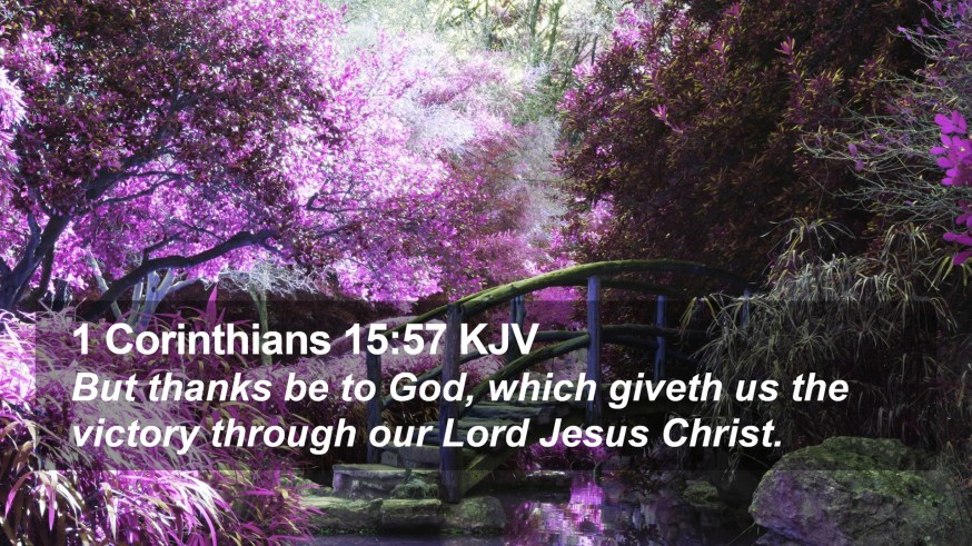 OH VICORTY in JESUS-YESHUA our SAVIOUR!!