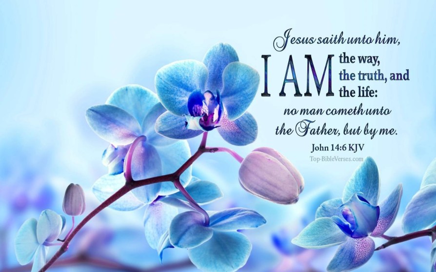 JOHN KJV I AM the WAY the TRUETH and the LIFE AMEN HALLELUJAH!!