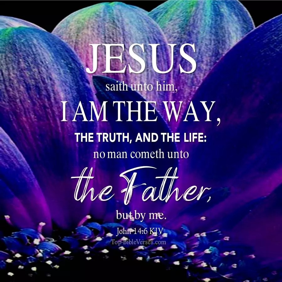 JOHN 14:6 KJV AMEN-AMEIN!!